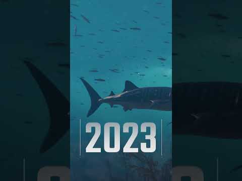 How World of Warships Changed Over 10 Years!