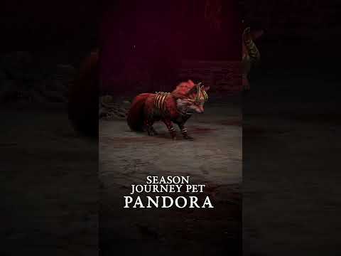 Pandora is ready to leap into action 🦊