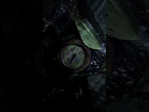 The forest deceives. The darkness misleads.