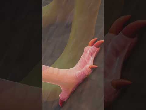 mmMMm 🦶