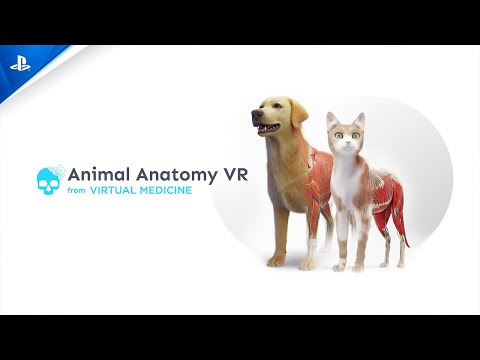 Animal Anatomy VR – Launch Trailer | PS VR2 Games