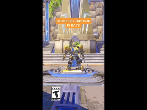 Pick up Bastion as Bumblebee today 🐝