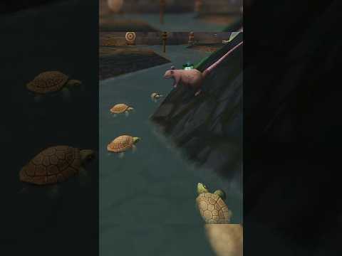 Have you seen these sewer turtles?