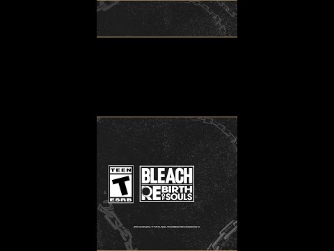 Unleashes powerful new abilities with Ichibe Hyosube in BLEACH Rebirth of Souls.