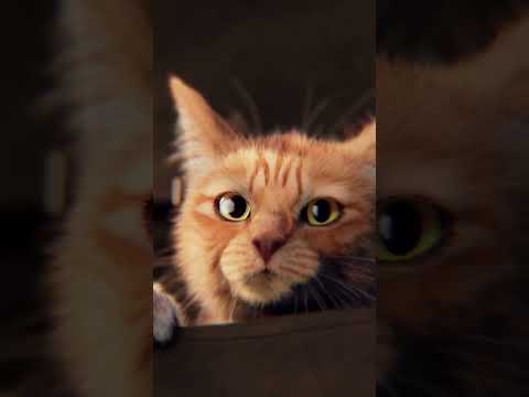 Don’t Miss Your Holiday Gifts in World of Warships!