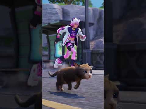 Heard you wanted a cat? The Best Cat Sidekick has arrived!