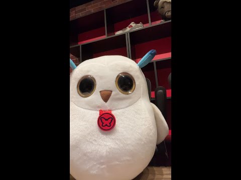 Have you seen Hootle? Now you have.