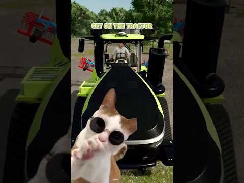 How and Why to Get Rid of Weeds Explained by Cats 😼