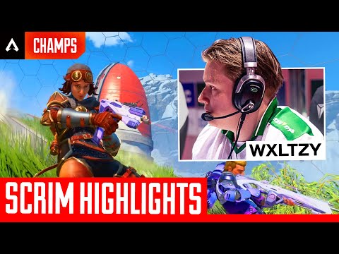 Wxltzy’s Insane 1v3, 100 Thieves’s Punch Fight At Fight Night & More | ALGS Scrim Highlights #7