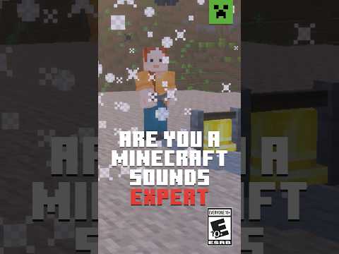 GUESS THESE MINECRAFT SOUNDS!
