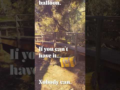 What’s your New Year’s resolution?