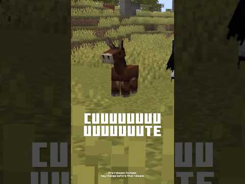 BABY MOUNTS + NEW LOOK = TRUE!