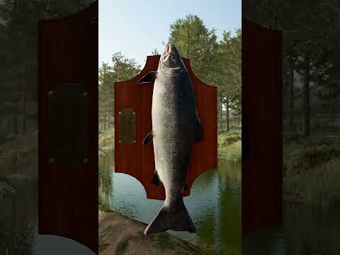 That catch was a big one in FS25! 🐟