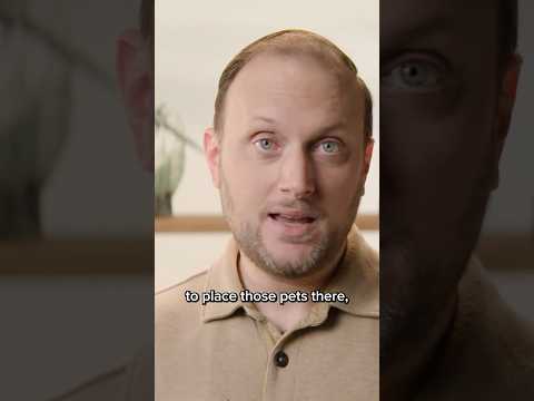 Companions and Mounts in Player Housing are in the works! 🐶🐴