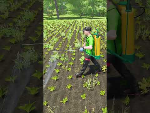 Backpack sprayer #farmingsimulator25 #farmingsimulator22 #farming #handtools #agriculture