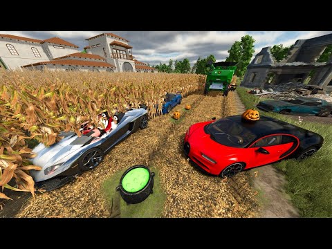 Farmer Finds Racecars in Corn Field | Farming Simulator 25