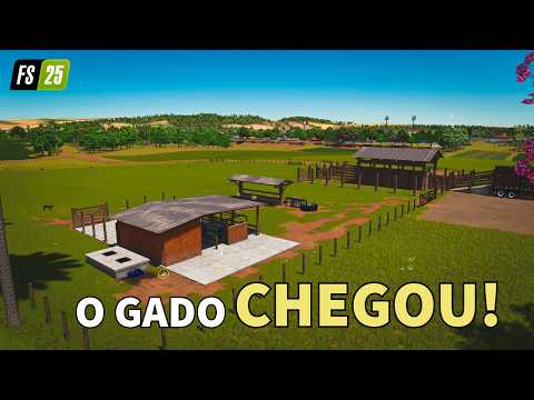 GADO ANGUS E NOVILHAS LEITEIRAS na FAZENDA BR163 #12 | Farming Simulator 25