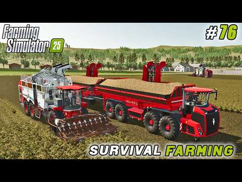 Harvesting 2M Liters of Straw and Start Big Potato Harvest | FS25 | Survival Farming | Timelapse #76