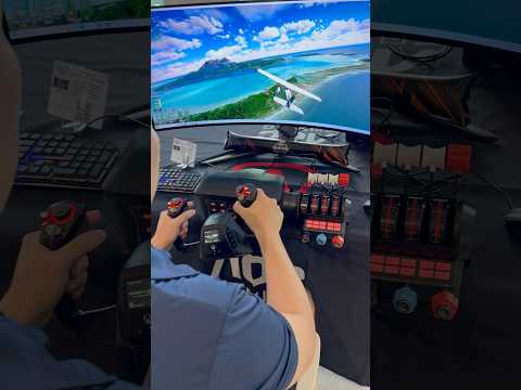 How much would you pay for this flight simulator setup?