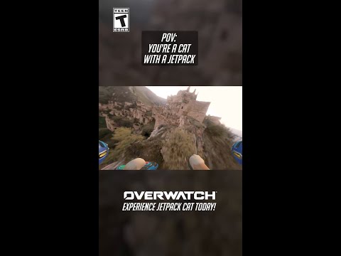 POV: You’re a cat with a jetpack 🐱🚀