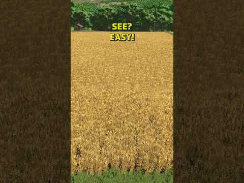 🪄 If only it were that simple… 🌾