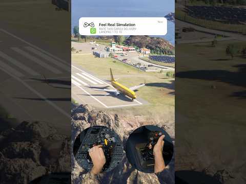 Emergency Cargo Delivery Stops on the EDGE of Saba’s Runway 😳 | Moza Flight Series