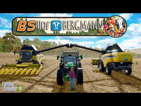 B&S Series Update! – Hof Bergmann