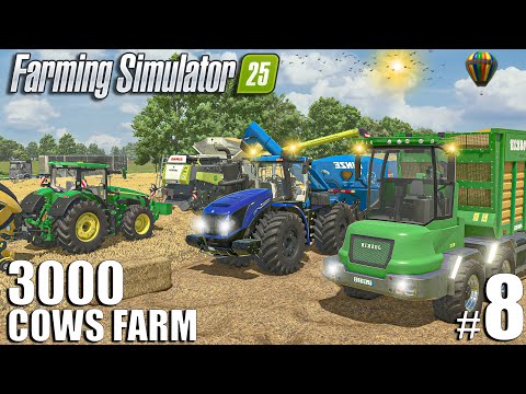 FIRST Big Wheat Harvest + Buying cows | 3000 Cows Farm | Episode #8 | Farming Simulator 25