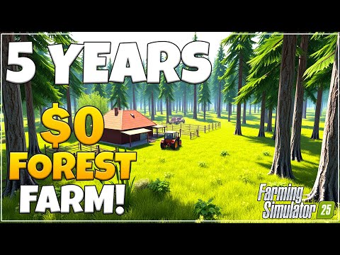 First Harvest Of 5 Years In A Forest!