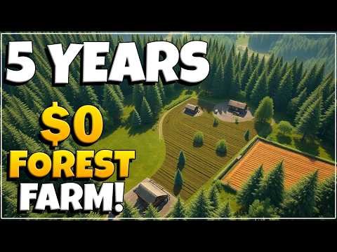 WE HARVESTED A LOT IN 5 YEARS In A FOREST!
