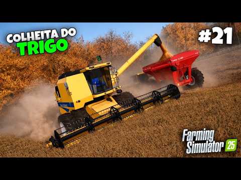 INICIAMOS A PRIMEIRA COLHEITA DE TRIGO NA FAZENDA PITANGUEIRA | FARMING SIMULATOR 25 #21