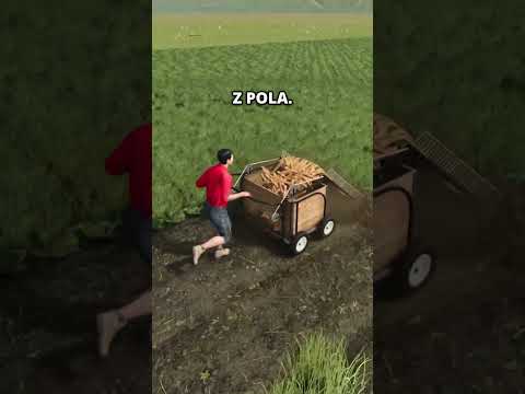 MARCHEW w Farming Simulator 25