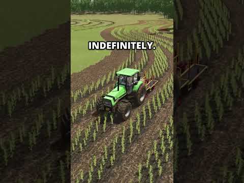Poplar in Farming Simulator 25