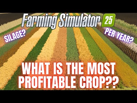 WHAT IS THE MOST PROFITABLE CROP?? – Farming Simulator 25