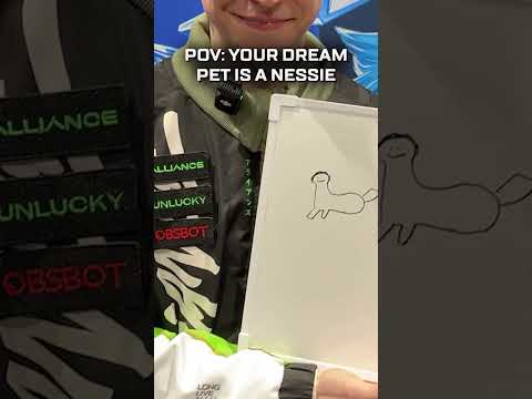 Art skills on full display at ALGS Champs 🎨🦕