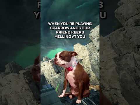 What am I doing? My best 🥺