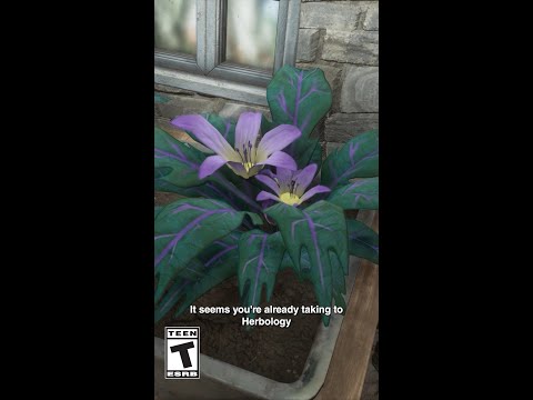 Hogwarts Legacy: Plant Combat 101