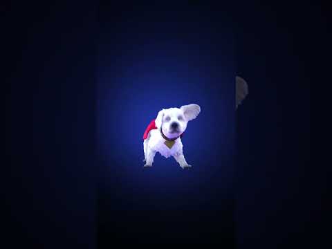 It’s a bird, it’s a plane, it’s a… KRYPTO⁉️