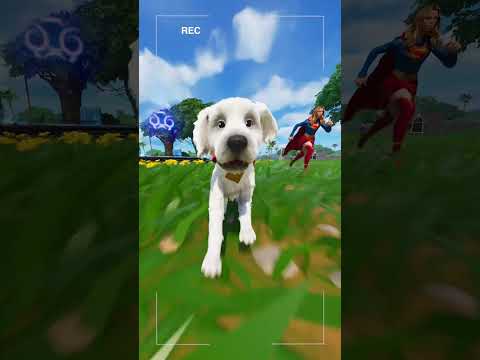 Who’s a good boy?? WHO’S A GOOD BOY!!? 🐕
