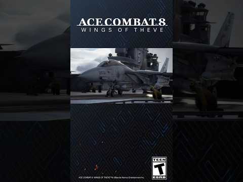 Playable aircraft: F-14D Super Tomcat