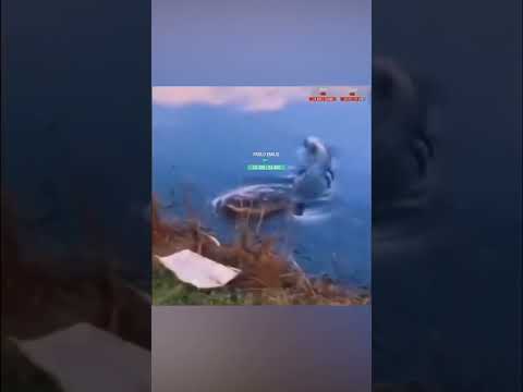 Enemy Force Detected