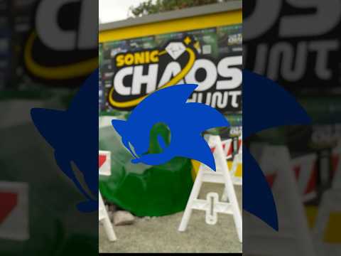 Sonic Chaos Hunt – Los Angeles Recap
