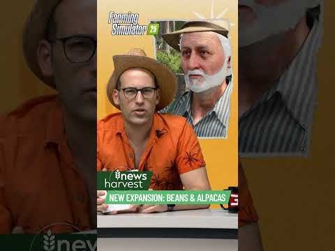 ❓ Brutal Questions about Beans & Alpacas?