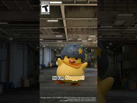🐥 Nuggets’s Quick Guide to the #AceCombat Universe #01