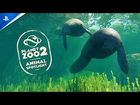 Planet Zoo 2 – Animal Spotlight: West Indian Manatee | PS5 Games