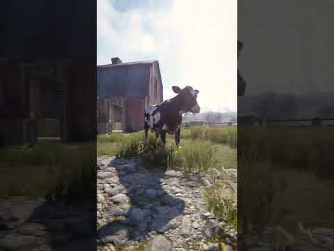🐄☢️💃